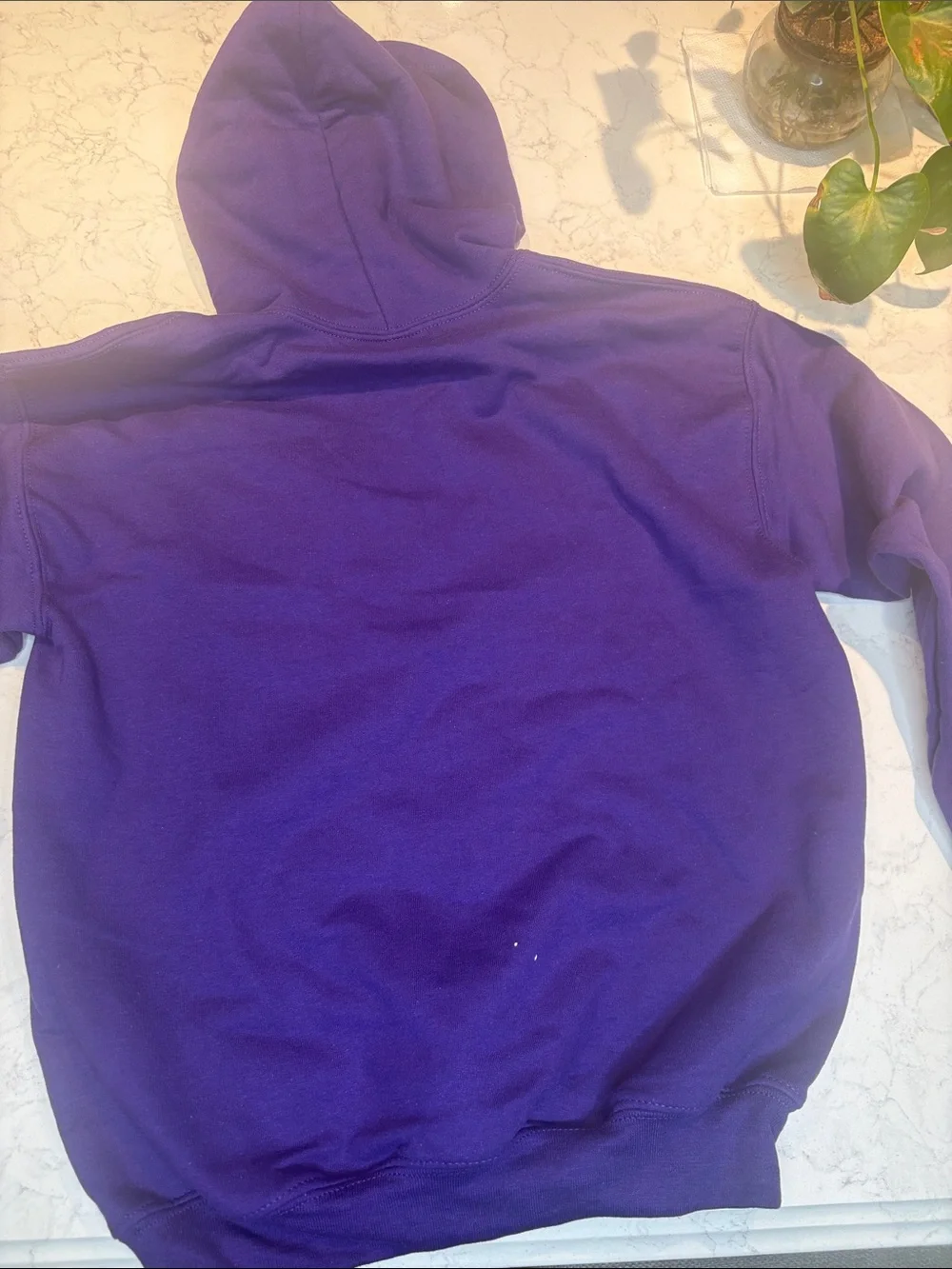 Men's Purple Hooded Sweatshirt
